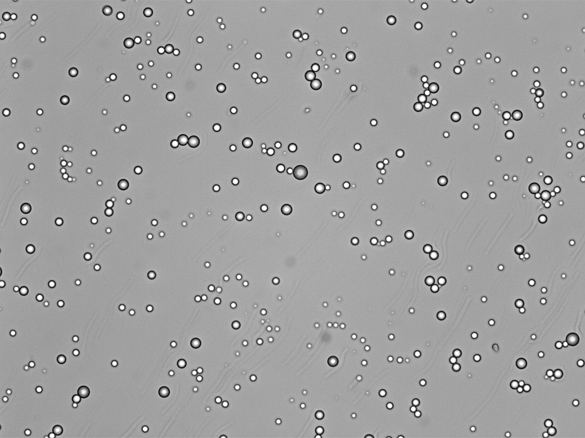 RP-6P A + 树脂：多功能精密材料解析